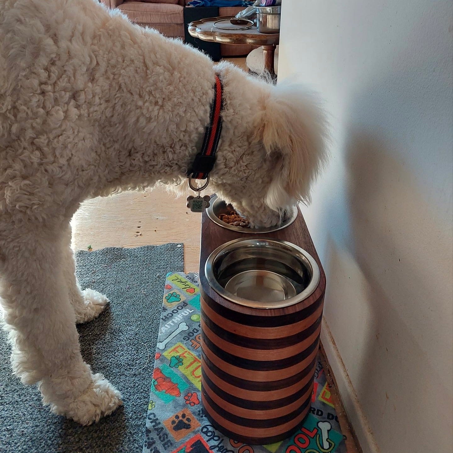 Double Dog Feeder Tall Stacked