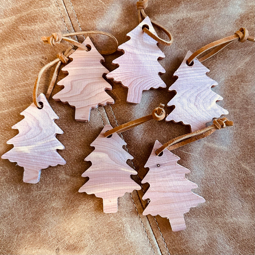 Aromatic Cedar Anti Moth Trees