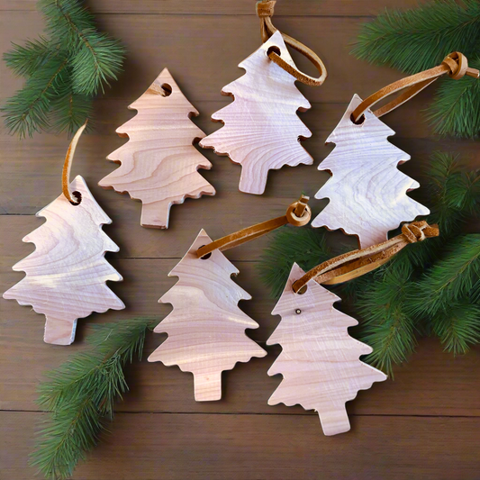 Aromatic Cedar Anti Moth Trees
