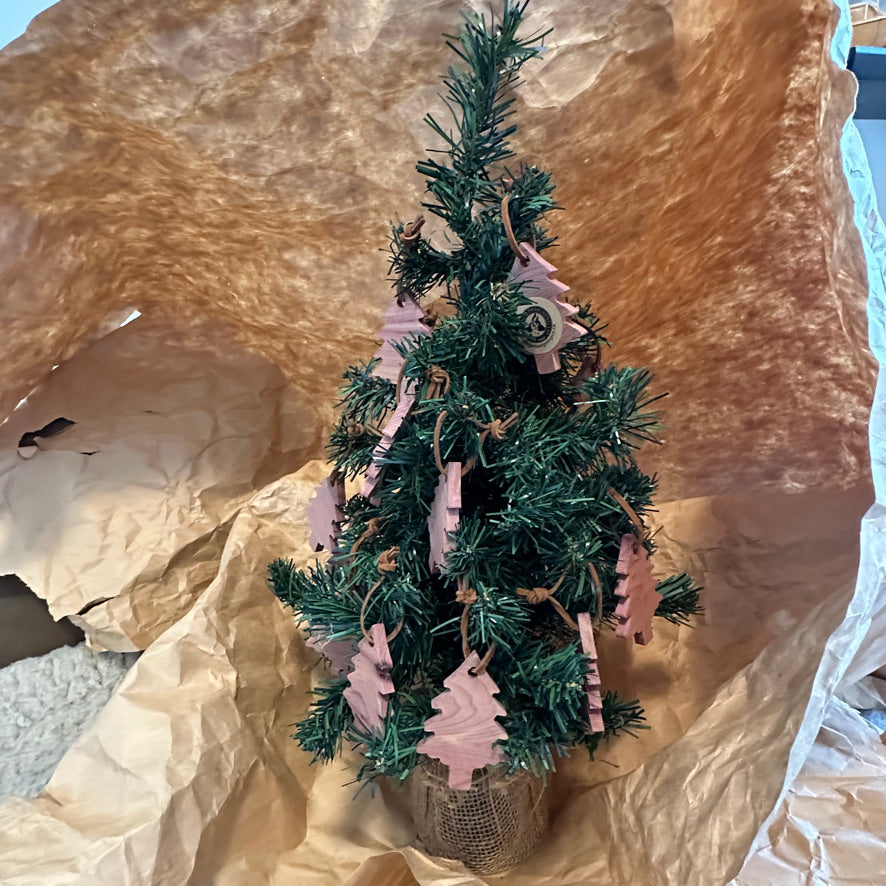 Aromatic Cedar Anti Moth Trees